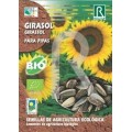 GIRASOL PARA PIPAS