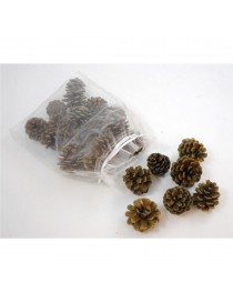 BOLSA TUL 24 PIÑAS 4 CM.